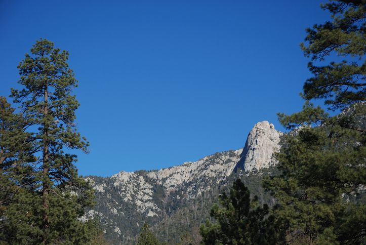 Beat the Palm Springs Heat: Discover Refreshing Mountain Escapes with The Paul Kaplan Group
